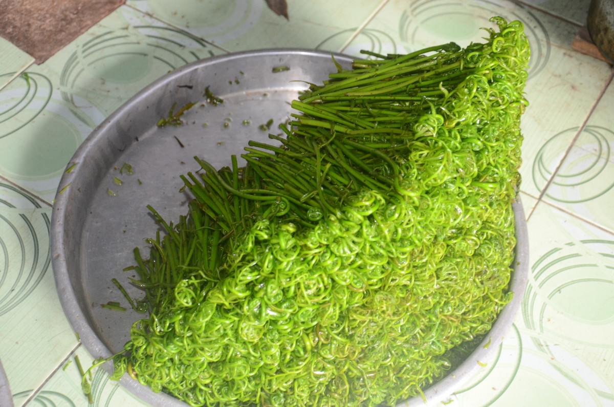 Rau choại sau khi được rửa, cắt tỉa trong bắt mắt.