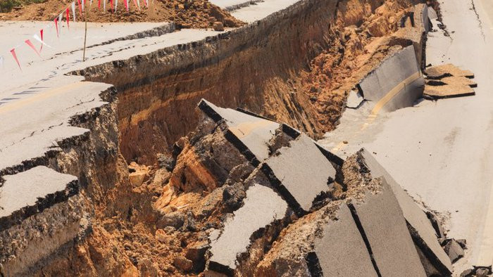 Nhung hanh vi ky la cua dong vat khoa hoc chua giai thich duoc-Hinh-2