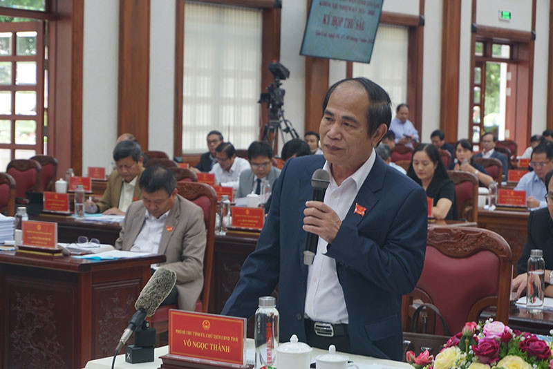 Ông Võ Ngọc Thành sinh năm 1963, quê quán Bình Định. Trình độ chuyên môn Cử nhân kinh tế chuyên ngành kế hoạch. 