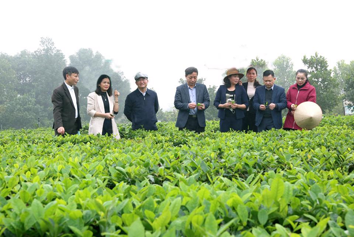 Ha Noi phat trien nong nghiep do thi, huong toi kinh te xanh