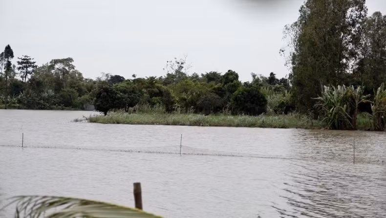 Thời điểm trên, lực lượng Công an thành phố Long Xuyên bất ngờ ập vào bắt giữ 28 đối tượng liên quan. 