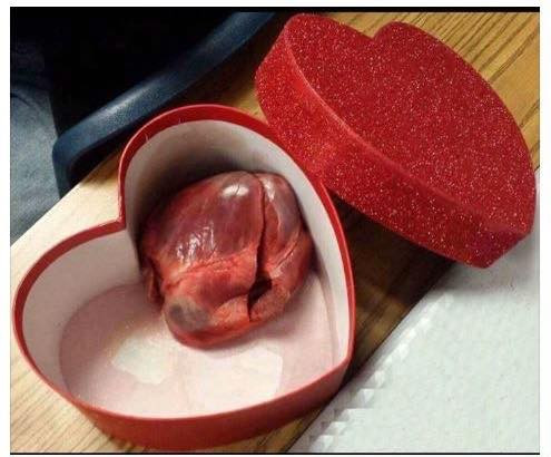 Còn đối với thành viên Quinn Ng, anh hài hước khi nghĩ ra món quà là một quả tim heo kèm lời nhắn “tặng em cả trái tim này”. Món đồ của Quinn Ng ngay lập tức đã nhận được sự hưởng ứng với những bình luận như “thái ra nhúng lẩu thì còn gì bằng”, “vừa thiết thực vừa ấm bụng”...