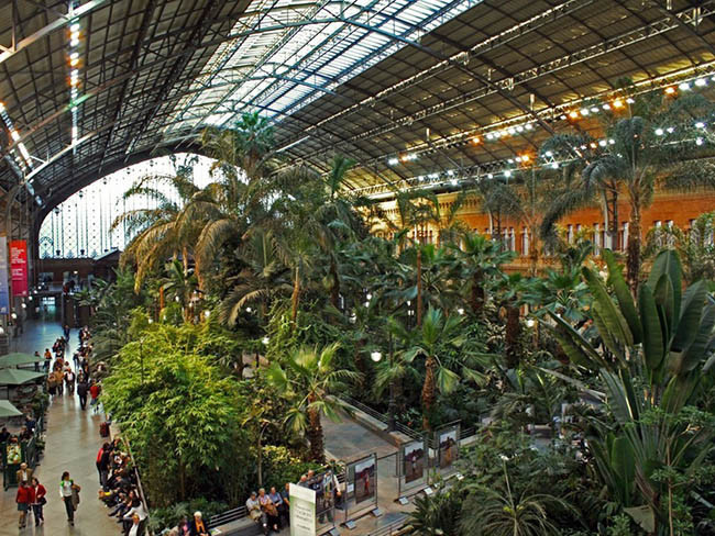 Ga tàu Atocha, Madrid, Tây Ban Nha: Nằm ở Madrid, thành phố lớn nhất Tây Ban Nha, ga tàu Atocha gây ấn tượng với khu vườn nhiệt đới lớn với rất nhiều loại cây độc đáo cùng các tác phẩm điêu khắc trong nhà.