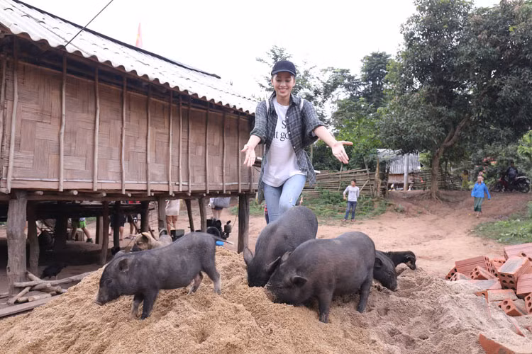 Cả bản Nịu có 38 hộ gia đình và gần 200 nhân khẩu, công việc chủ yếu của người dân là làm nương rẫy và chăn nuôi. Dân cư tại bản vẫn cất nhà theo hình thức nhà sàn, gia súc, gia cầm thả rông xung quanh nhà.