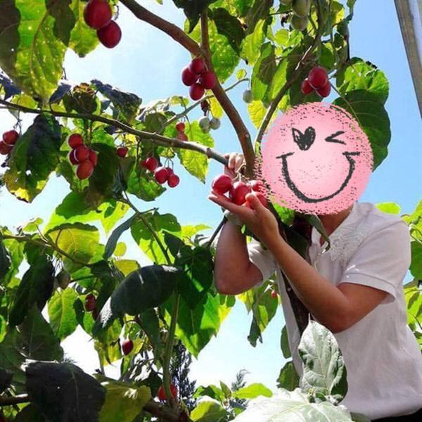 Có lần, Ya Suy đăng ảnh một cô gái nhưng lại che mặt, khiến nhiều người tò mò. Tuy nhiên, anh không chia sẻ thêm về nhân vật đặc biệt này cũng như chuyện tình cảm của bản thân.