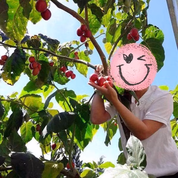 Có lần, Ya Suy đăng ảnh một cô gái nhưng lại che mặt, khiến nhiều người tò mò. Tuy nhiên, anh không chia sẻ thêm về nhân vật đặc biệt này cũng như chuyện tình cảm của bản thân.