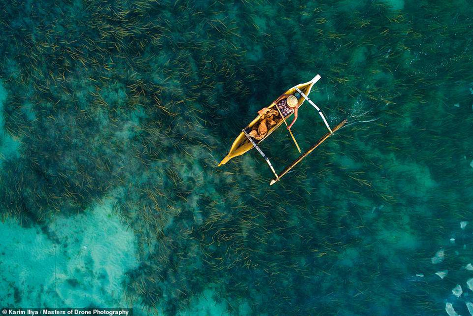 Karim Iliya chụp bức ảnh về một ngư dân Indonesia kiểm tra dây câu trong khi đang lênh đênh trên chiếc xuồng nhỏ. Nước biển trong đến mức nhiếp ảnh gia có thể nhìn rõ những cây rong dưới mặt nước.