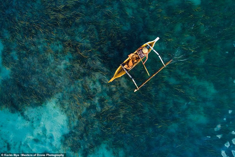Karim Iliya chụp bức ảnh về một ngư dân Indonesia kiểm tra dây câu trong khi đang lênh đênh trên chiếc xuồng nhỏ. Nước biển trong đến mức nhiếp ảnh gia có thể nhìn rõ những cây rong dưới mặt nước.