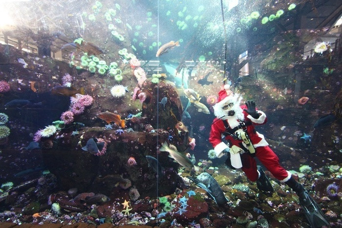 5. Sân bay quốc tế Hamad, Doha: Bạn có thể thể ngâm mình trong bể bơi bằng kính trong lúc chờ đợi chuyến bay.