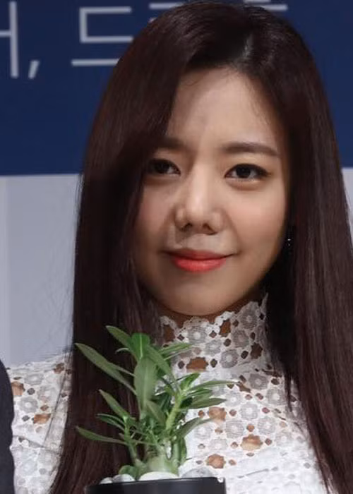 Nữ ca sĩ Namjoo (nhóm Apink) cũng từng gây sốc với chiếc mũi dao kéo hỏng cùng gương mặt cứng đờ. Ảnh: Vietnamnet