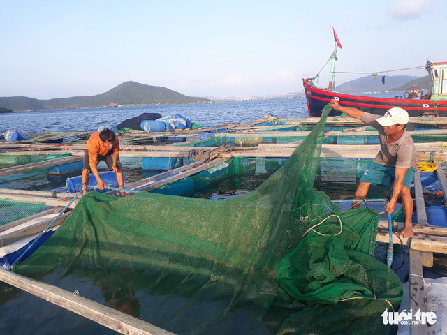 “Thu phu tom hum” lai lao dao-Hinh-2