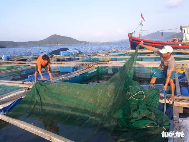 “Thu phu tom hum” lai lao dao-Hinh-2