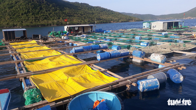 “Thu phu tom hum” lai lao dao-Hinh-4