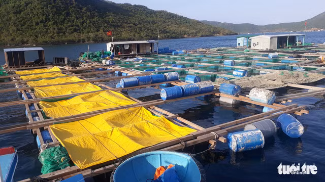 “Thu phu tom hum” lai lao dao-Hinh-4