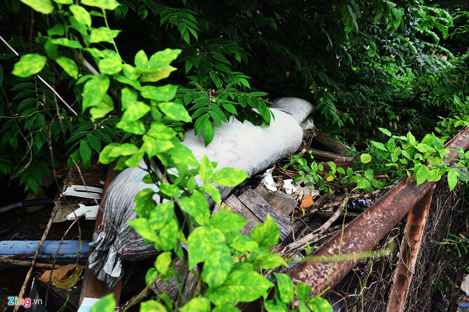 Khuôn viên mặt tiền căn nhà lâu nay bị nhiều người vứt các loại rác, lâu ngày chất thành đống.