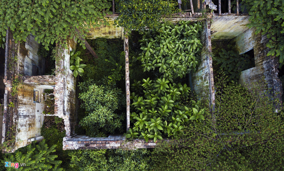 Ngoài 1 phòng khách, căn biệt thự có 4 phòng ngủ và khu phụ phía sau là nhà bếp, nhà ở cho người giúp việc. Phần diện tích này chỉ còn những bờ tường xung quanh và ngăn các ô phòng. Bên trong cây, cỏ dại phủ xanh phần lớn không gian.