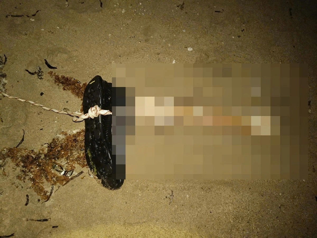 Phat hien doan xuong chan nguoi tren vung bien Ninh Thuan