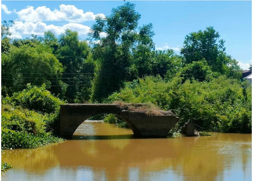 Những đoá hoa bất tử ở Cầu Nhe Nhung doa hoa bat tu o Cau Nhe