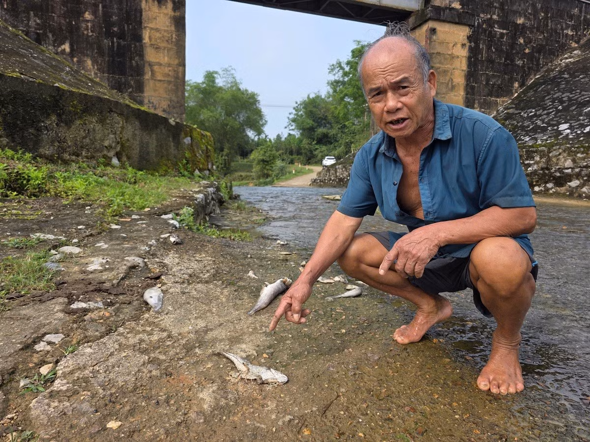 Ca chet hang loat doc bo suoi Khe Ac, Ha Tinh