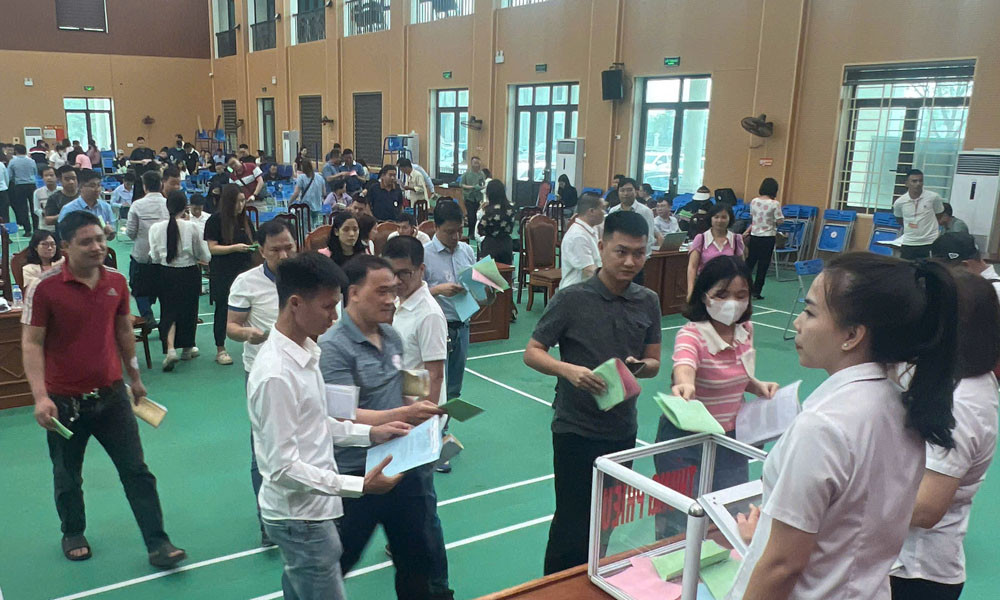 Bắc Giang đấu giá thành công 100 lô đất, thu hơn 338 tỷ đồng Bac Giang dau gia thanh cong 100 lo dat, thu hon 338 ty dong