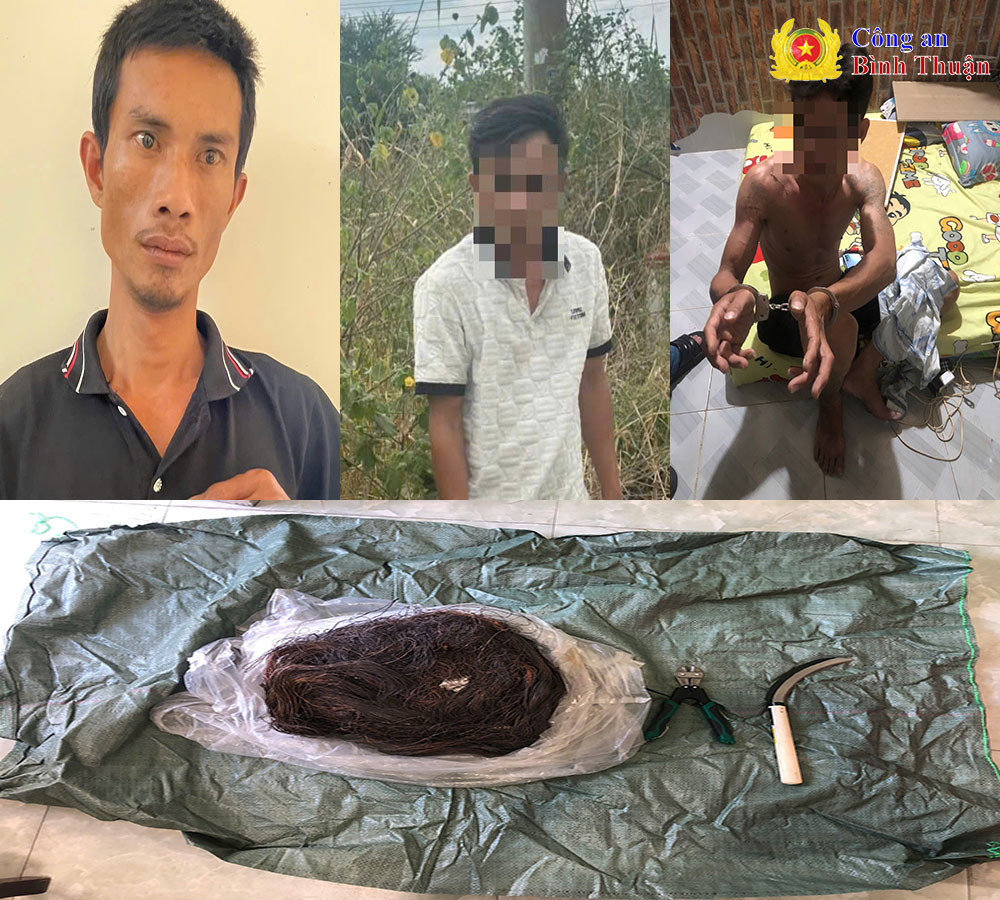 Nhom doi tuong chuyen trom cap vien thong o Binh Thuan sa luoi