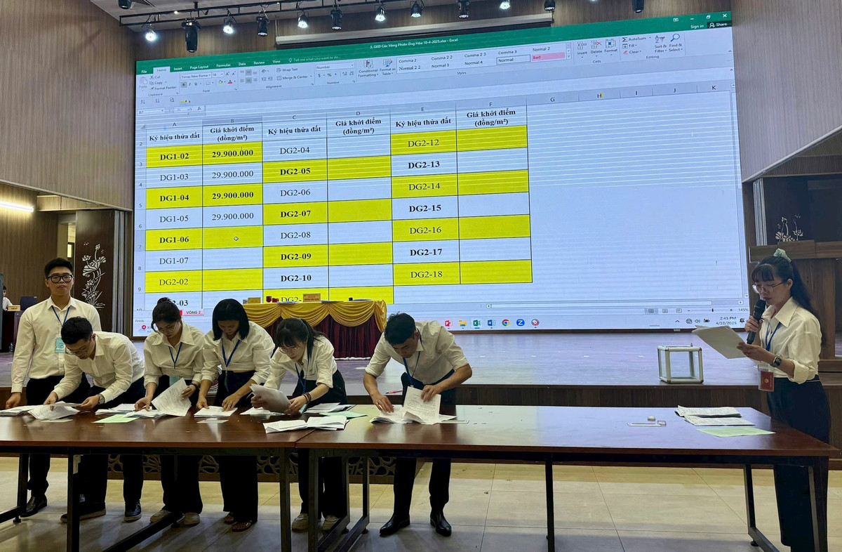 Ung Hoa dau gia thanh cong 23 lo dat, cao nhat gan 53 trieu/m²