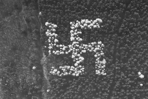 Sau khi thế chiến 2 bắt đầu, khu rừng với biểu tượng Phát xít Đức này dần dần chìm vào quên lãng. Ảnh: Neo.