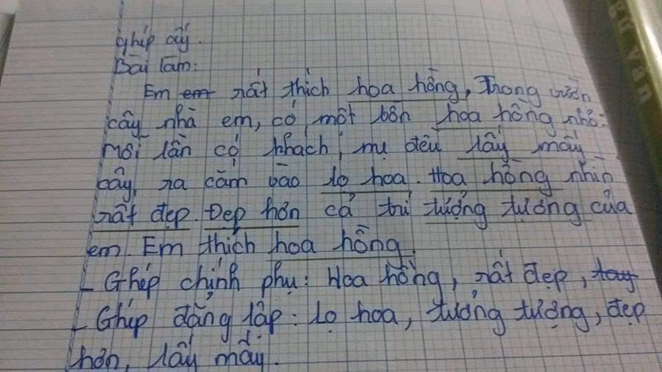 Cách vận dụng từ ghép chính phụ và từ ghép đẳng lập đầy ngô nghê của một học sinh cấp 1. Ảnh: Fb/f17.