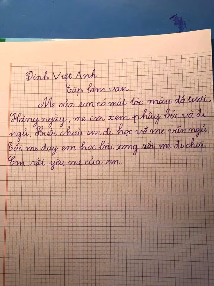 Lời văn tả mẹ trong một bài văn độc đáo của một em nhỏ tả rất... "thực" và "phũ phàng". Ảnh: Fb/f17.