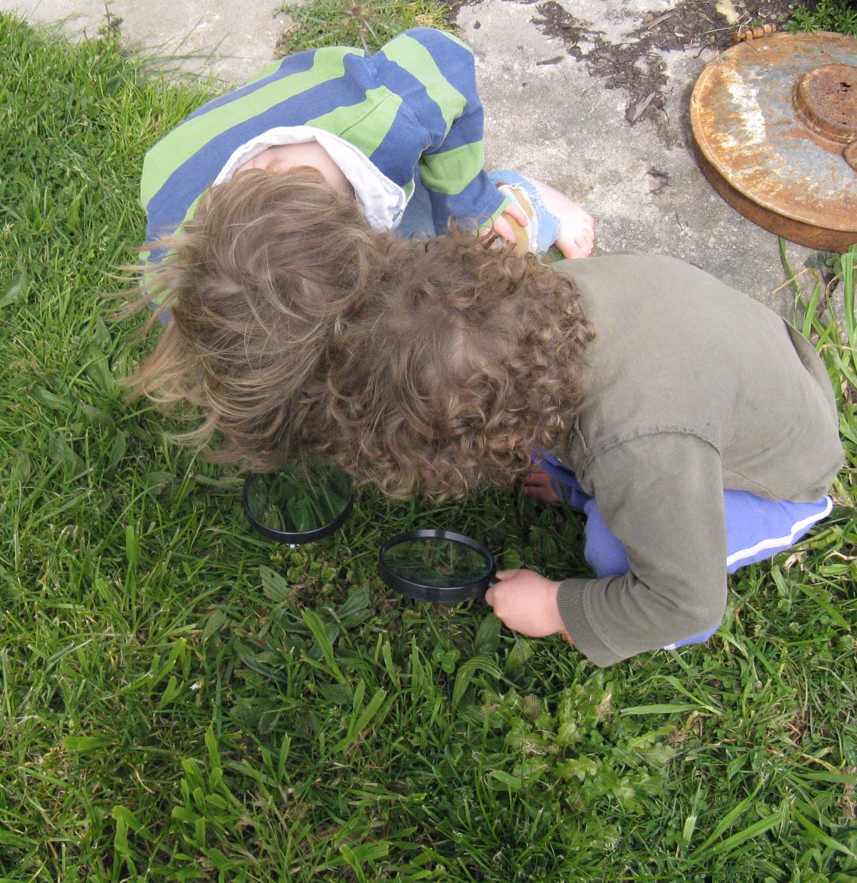 Việc để các em tự mày mò, nghịch ngợm giữa thiên nhiên là cách tốt nhất để các bé tự ghi nhớ kiến thức và tìm câu trả lời cho các câu hỏi tại sao của mình. Ảnh: Scatter.