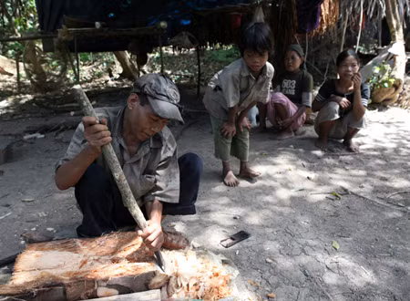 Một người đàn ông dân tộc Rục bào thân cây đoác để phơi khô làm nguyên liệu nấu món cơm nhúc. Ảnh: Danviet.