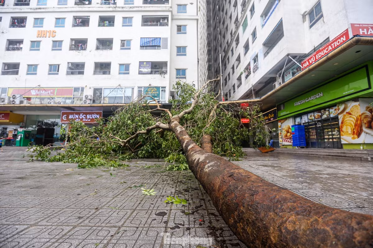 Ha Noi: Khu do thi, khu chung cu hoang tan sau bao