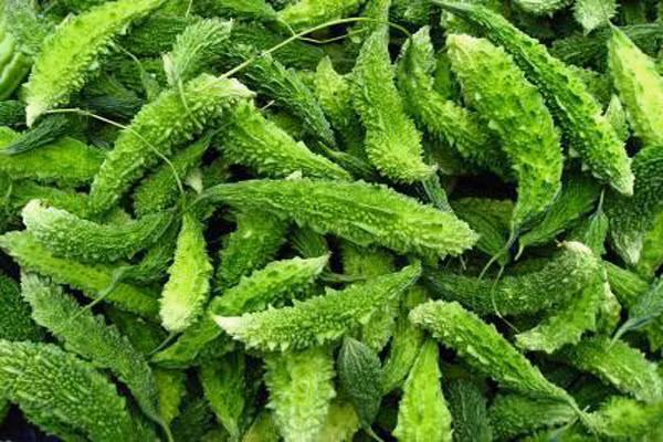 Phân tích IHC (Hóa mô miễn dịch) trong y học cho thấy, chất đắng trong mướp đắng sẽ kích hoạt AMPK - Chất dẫn truyền protein để kích hoạt các tế bào chống mầm mống ung thư.