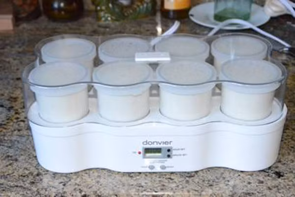Múc hỗn hợp ở trên vào các hộp nhỏ sau đó tiến hành bước ủ sữa chua.