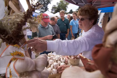 Lễ hội tỏi, California, Mỹ. Đây là lễ hội được tổ chức vào tháng 6 hàng năm ở Mỹ. Lễ hội tỏi được tổ chức nhằm ca ngợi các giá trị cũng như tôn vinh người trồng tỏi. Rất nhiều món ăn được chế biến cùng tỏi góp mặt tại lễ hội như pizza tỏi, bánh mì tỏi, kem tỏi, sôcôla tỏi…Ảnh: dulichvietnam