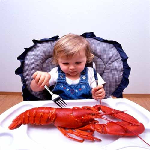 Hải sản có vỏ như tôm, sò, ốc, hến … là loại thực phẩm dễ gây dị ứng hàng đầu với trẻ nhỏ. Nếu bé dưới 1 tuổi và gia đình có tiền sử dị ứng hải sản thì mẹ không nên tham khảo ý kiến bác sỹ trước khi cho con ăn.