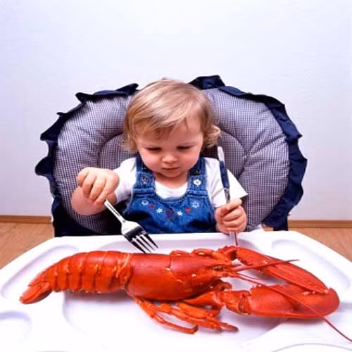 Hải sản có vỏ như tôm, sò, ốc, hến … là loại thực phẩm dễ gây dị ứng hàng đầu với trẻ nhỏ. Nếu bé dưới 1 tuổi và gia đình có tiền sử dị ứng hải sản thì mẹ không nên tham khảo ý kiến bác sỹ trước khi cho con ăn.