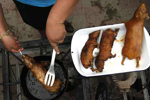 Chuột lang, Peru. Thịt chuột lang được coi là một món ngon của người Peru. Sau khi chế biến, người ta vẫn giữ nguyên vẹn cả con bày lên đĩa. Ảnh: zing