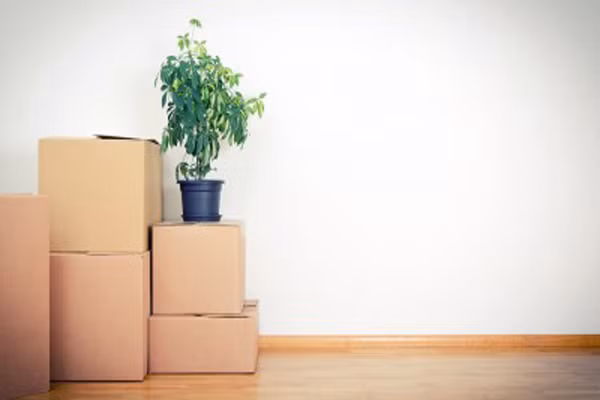  6. Hội chứng trống vắng. Sự chuyển tiếp như lật một trang sách sang trang mới ở thời kỳ mãn kinh có thể khiến cơ thể mất cân bằng, không điểm tựa và cô đơn. Thay vào đó, hãy dành thời gian này để làm mới mình, gặp những người bạn lâu năm, làm những việc còn dang dở sẽ khiến bạn thoát khỏi chứng trầm cảm. 