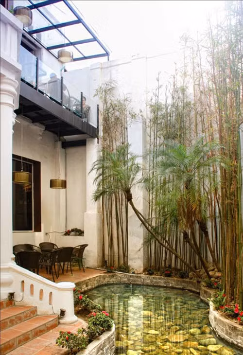 3D Café Align, 10A Khúc Hạo, Ba Đình, Hà Nội có khuôn viên hoàn toàn hướng về thiên nhiên với cây cối, hồ cá, mái nước...Không gian thoáng đãng cũng tạo cảm giác hoàn toàn tự do, thư thái cho bất kỳ cặp đôi nào đến đây. Ảnh: wordpress