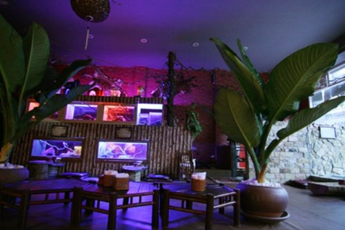 Café Xe cổ, 11 Hàng Bún, Hà Nội, là một điểm đến không thể bỏ qua với những cặp tình nhân yêu thích sự giản dị, nét thô mộc, cũ kĩ của những món đồ cổ. Những chiếc quạt, máy khâu, đĩa hát… tạo thành những chi tiết trang trí ấn tượng cho không gian này. Ảnh: giaoduc