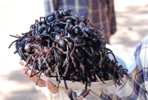 Món nhện đen chiên giòn làm rất dễ và nhanh. Phi mỡ (dầu) tỏi, tiêu xay, cùng các gia vị khác cho thơm rồi cho nhện đen vào chảo chiên cho đến khi nhện chín giòn phần bên ngoài, còn hơi ướt phần giữa thân thì vớt ra thau. Phần lưng nhện là phần tinh hoa nhất, để khô sẽ mất ngon.