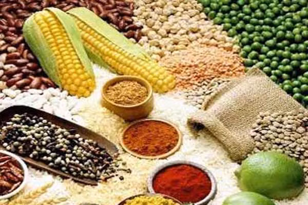  Cha mẹ hãy tập trung vào chế độ ăn có khả năng loại bỏ thành phần gluten, carbonhydrate, casein có trong trong mì đen, ngũ cốc nguyên cám, bánh mì trắng … và các thành phần kích thích biểu hiện tự kỷ. Do gần đây, giới nghiên cứu đã phát hiện, trẻ tự kỷ có thể dễ bị phản ứng dị ứng với những chất này. 