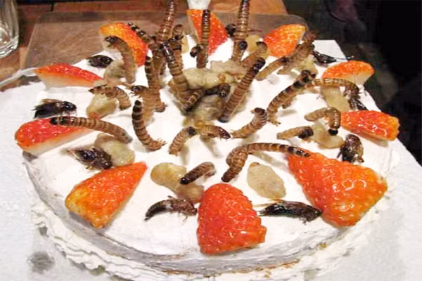  Bánh gato côn trùng. Liệu bạn có dám thử một chiếc bánh gato phủ đầy côn trùng không. Đối với giới trẻ ở Nhật Bản thì đây lại là món ăn rất được ưa chuộng. Người Nhật luôn là những người làm việc chăm chỉ nhất và không bao giờ ngừng sáng tạo, ngay cả trong nghệ thuật ăn uống. 