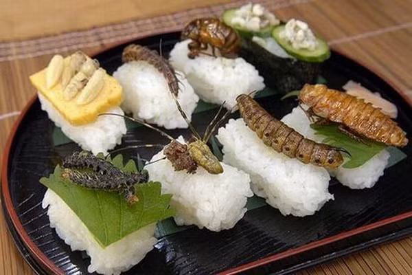  Sushi côn trùng. Đối với người Nhật, chuyện ăn sushi cá sống là chuyện bình thường và sushi côn trùng cũng vậy. Có tới 70 thực đơn là các món làm từ côn trùng, các loại côn trùng có thể chế biến như gián, sâu, rết, ve sầu, dế .... Tác giả của những món ăn này cho biết, cách dễ nhất để ăn chúng là chiên xù lên trong chảo dầu, và khi ăn sẽ giống như ăn khoai tây chiên. 