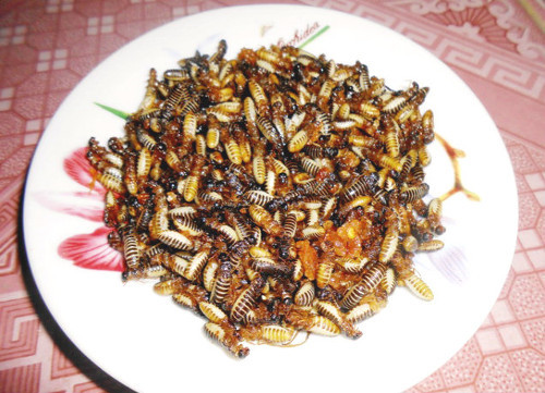 Dac san binh di cua dong bao Cotu Quang Nam-Hinh-2