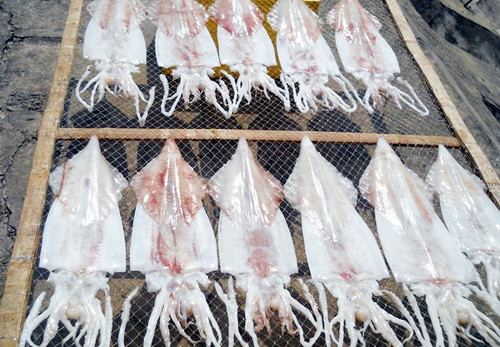 Mực một nắng. Mực Cù Lao Chàm khá đa dạng với nhiều loại: mực lá, mực ống, mực tuộc, mực ghim... nhưng mực một nắng ngon nhất là làm từ mực ống. Sau khi mang mực từ biển về hãy còn tươi đem phơi duy nhất một lần nắng giòn. Ảnh: culaochamtour