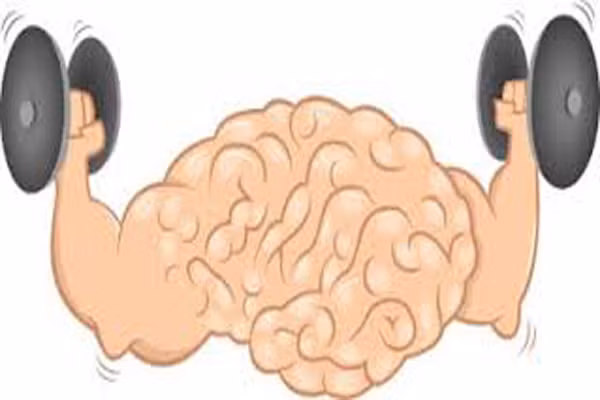 Não bắt đầu lão hóa khi bạn bước sang 20 tuổi. Khi chúng ta già đi, số lượng thần kinh trong não giảm dần. Các tế bào thần kinh được tạo thành trong não khoảng 100 tỷ dây, nhưng đến năm 20 nó bắt đầu giảm dần. Cuối 40, chúng ta có thể mất đi 10.000 dây mỗi ngày ảnh hưởng đến trí nhớ và sự phối hợp chức năng não.