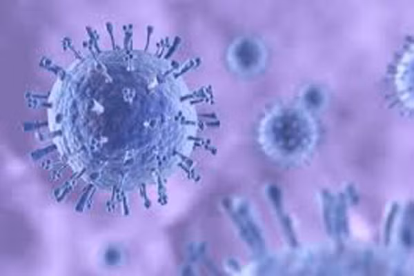  2. Cúm gia cầm H3N2 . Mặc dù không nguy hiểm như trận cúm lịch sử H1N1 năm 2009 - 2010, theo dữ liệu của Trung tâm Kiểm soát và Phòng ngừa dịch bệnh, cho đến nay virus H3N2 đang thống trị từ đầu mùa và điều đáng lo là biến thể của nó ngày càng nặng khiến tỷ lệ tử vong cũng cao bất thường. 