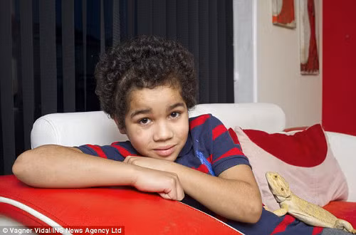 Cau be duoc cuu song nho cay hop so vao da day-Hinh-2